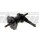 REAR HUB 36H 20T black