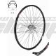 AM  WHEEL R 28 X11 BLACK 36H EYELETS SHIMANO ASG3C41A2775  BLACK SPOKES