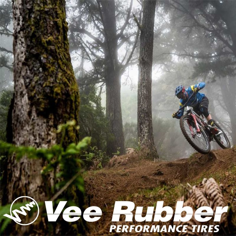 Vee Rubber New models